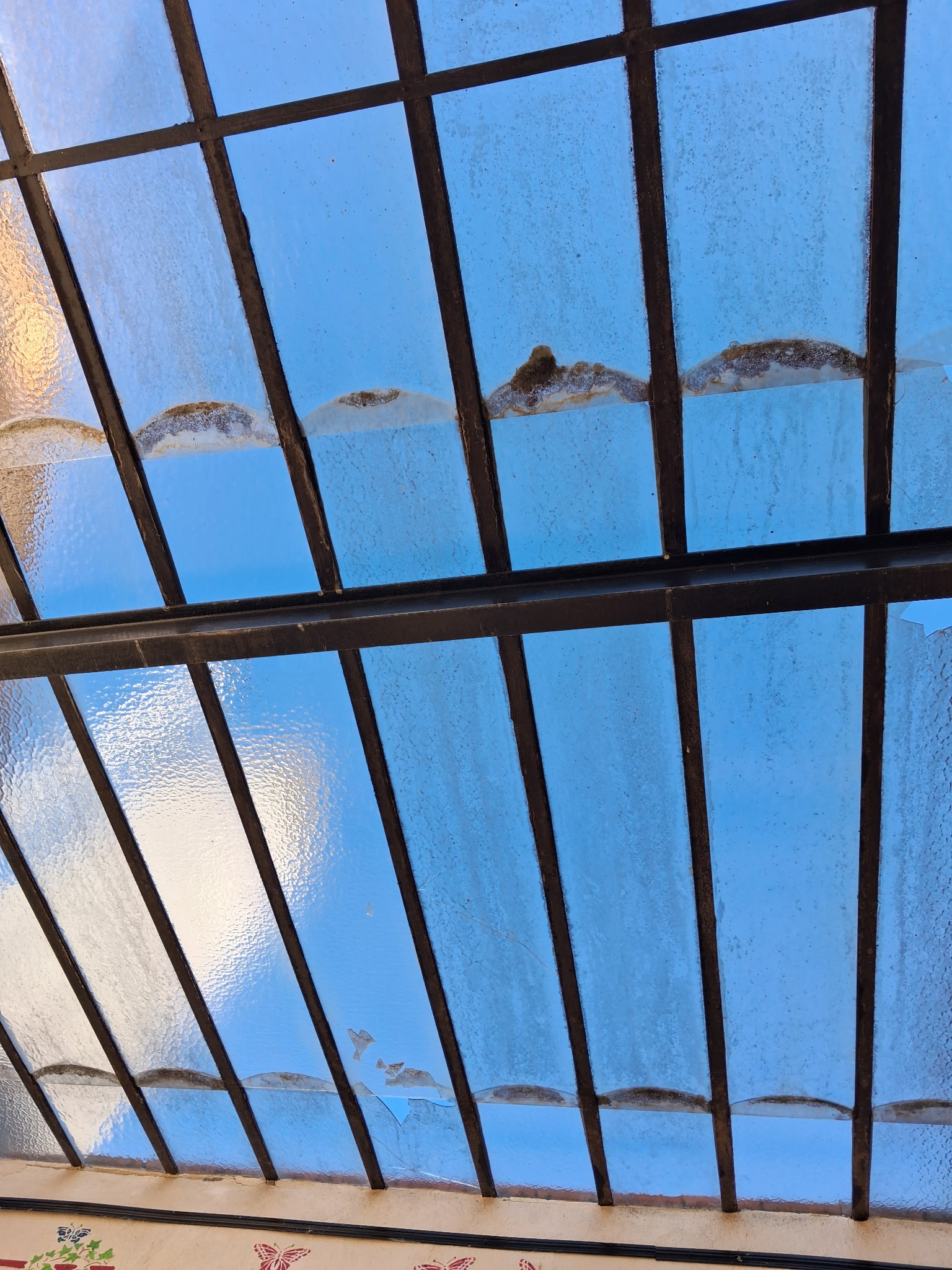 Remise en état de plaques transparentes de véranda par SDA dans le Rhône
